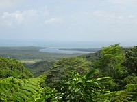 DSC08824
