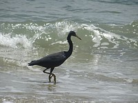 DSC09771