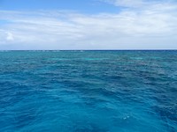 DSC08699