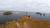 DSC03336