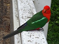 DSC03538