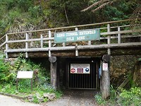 DSC03556