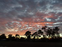 DSC03989