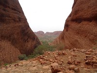 DSC04337