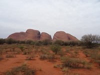 DSC04416
