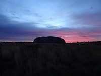 DSC04594