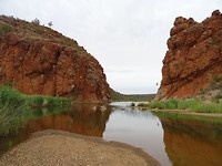 DSC04981