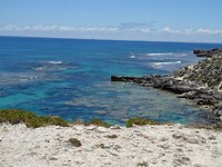 DSC05515