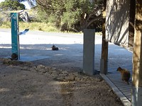 DSC05928