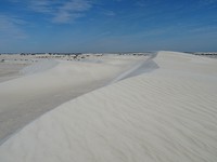 DSC06344