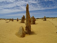 DSC06568