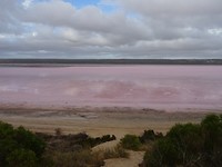 DSC06609