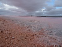 DSC06645