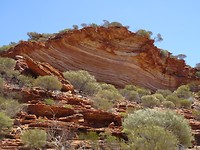 DSC06964