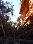 DSC07180