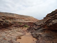 DSC07417