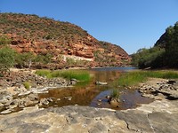 DSC07552