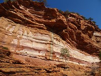DSC07577