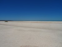 DSC08301
