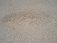 DSC08299