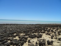 DSC08359
