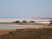 DSC09854