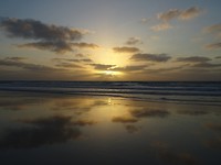 DSC00230