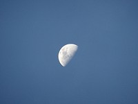 DSC00238