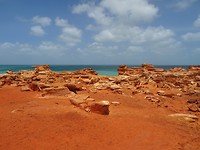 DSC00310