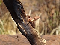 DSC00586