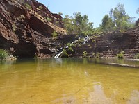 DSC00717