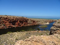 DSC09149
