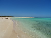 DSC09240