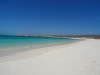 DSC09333