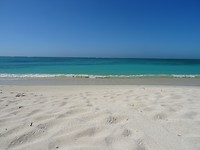 DSC09372