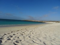 DSC09458