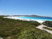 DSC01329
