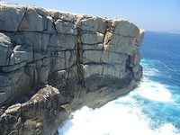 DSC02088