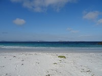 DSC02397