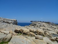 DSC02140