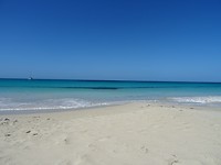 DSC03197