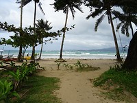 DSC04140
