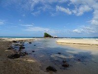 DSC04204