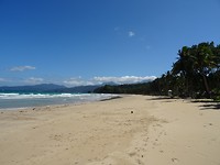 DSC04387
