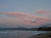 DSC04256