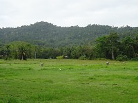 DSC04649