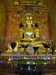 DSC05490