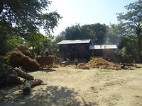 DSC05752