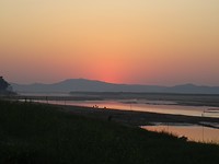 DSC05874