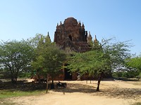 DSC06007